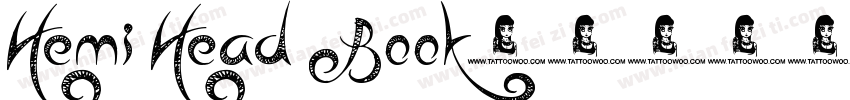 Hemi Head Book字体转换